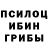 Псилоцибиновые грибы Psilocybe Kroys Ss