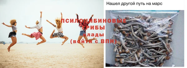 сатива Горно-Алтайск