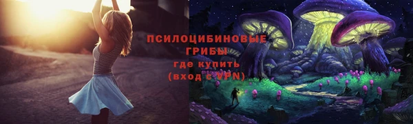 марки nbome Горняк
