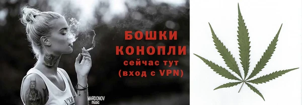 сатива Горно-Алтайск