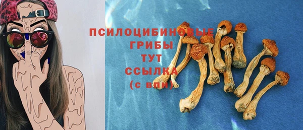 сатива Горно-Алтайск